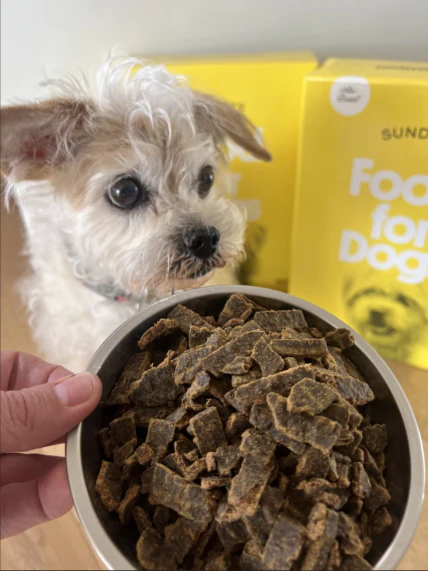 Air Dried Dog Food - Beef - Image 3